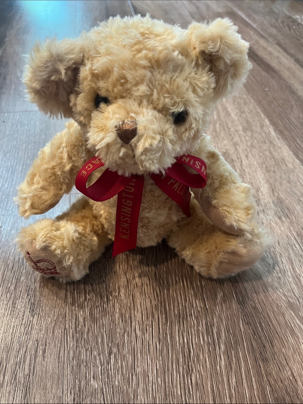 Historic Palaces Kensington Plush Teddy Bear with Red Ribbon